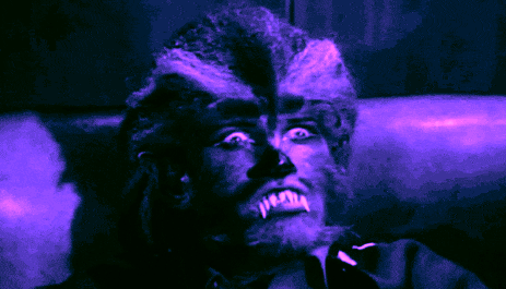 zooming in and out on a werewolf! caption: its not a silver bullet.... or IS it?