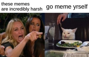 woman yelling at cat. 
woman: these memes are incredibly harsh
cat: go meme yrself