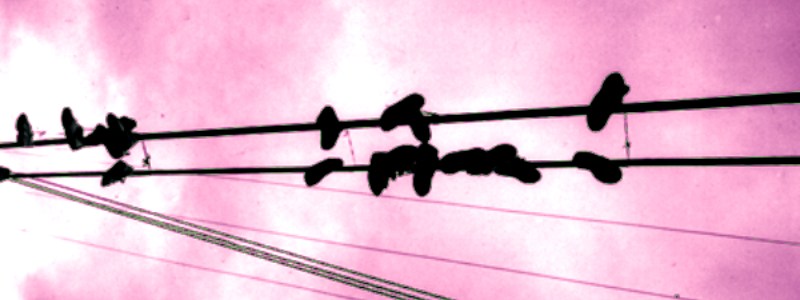 many shoes hanging from electrical wire