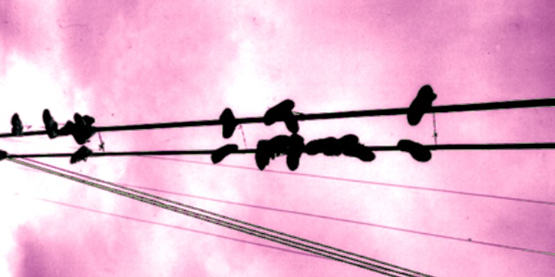 many shoes hanging from electrical wire