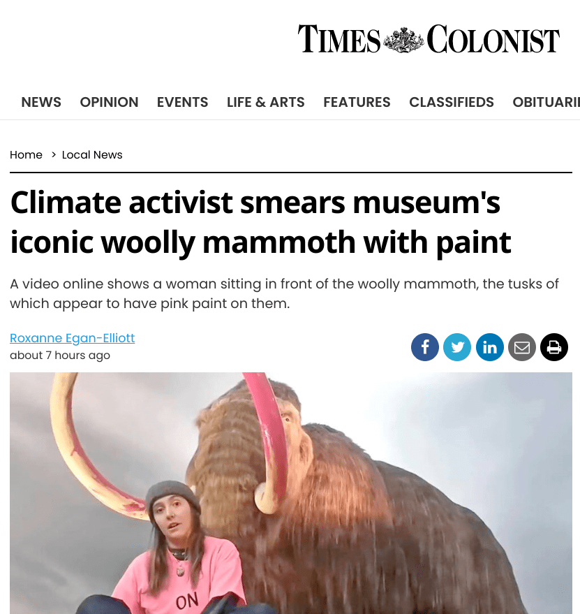 screenshot from thet Victoria Times-Colonist, headline: Climate activist smears museum's iconic woolly mammoth with paint. sub: a video online shows a woman sitting in front of the woolly mammoth, the tusks of which appear to have pink paint on them.